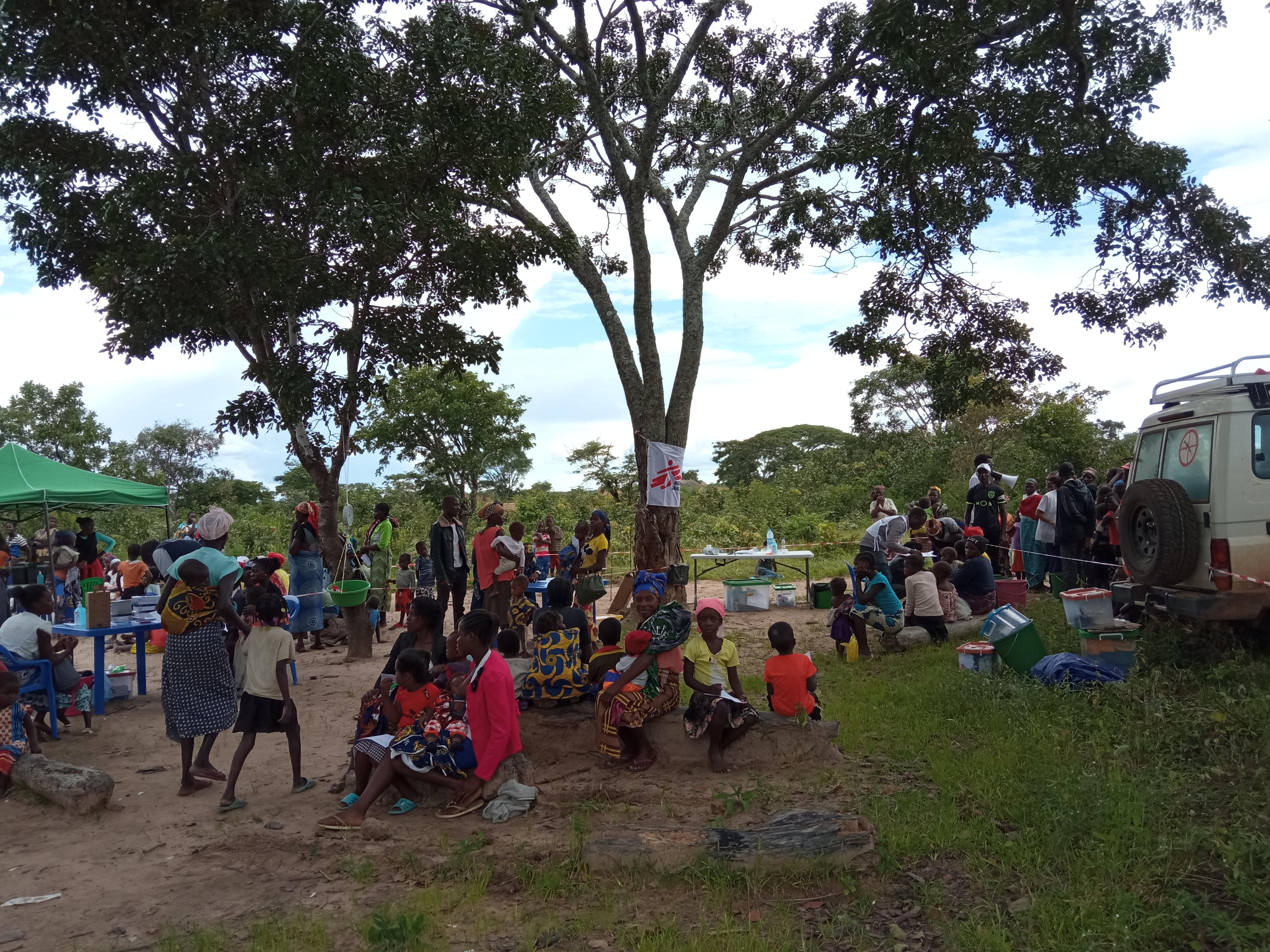 Mobile clinic under tree in Huila province