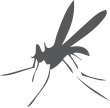 IAR icon mosquito