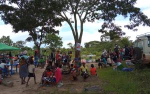 Mobile clinic under tree in Huila province