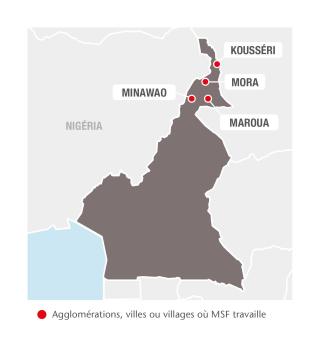 Cameroon map IAR 2017 (FR)