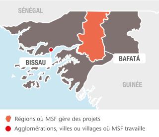Guinea-Bissau Map IAR 2017 (FR)